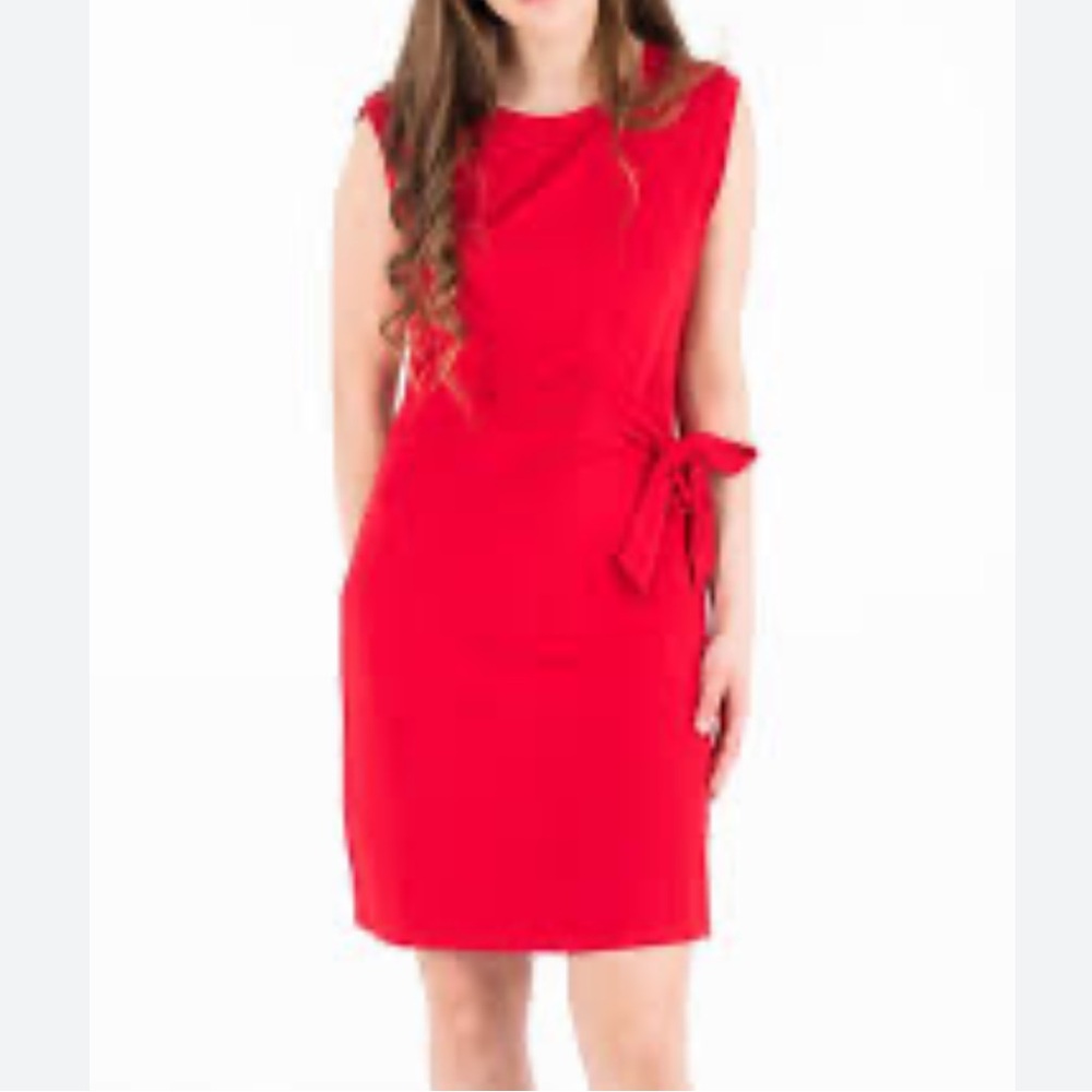 Brooks Brothers Red Fleece Dress